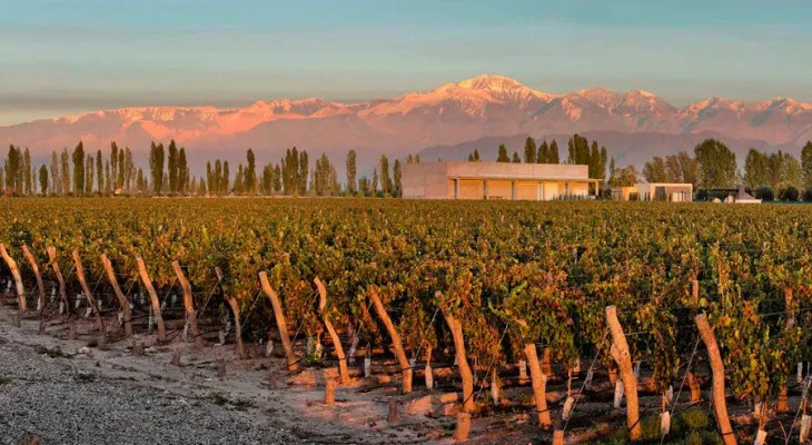 20230919015859_mendoza_bodega_a16