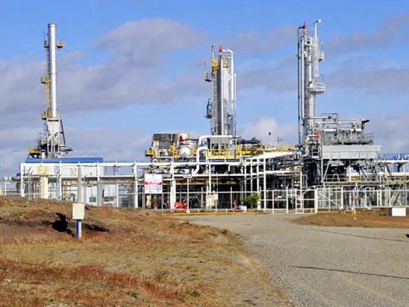 multimedia.normal.b35d8042ab05cc81.UGV0csOzbGVvIE1hZ2FsbGFuZXNfbm9ybWFsLndlYnA=