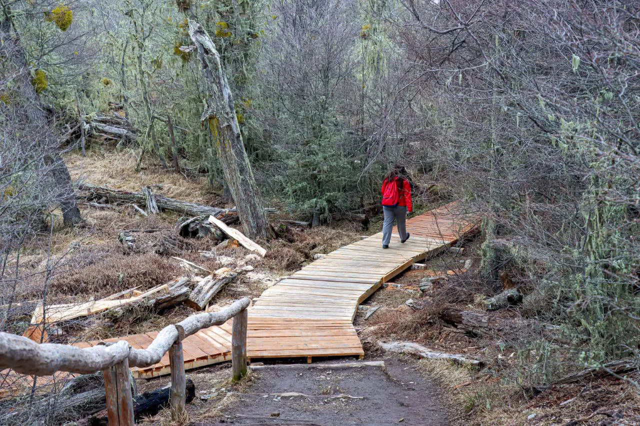 photo_4943135602962967515_y