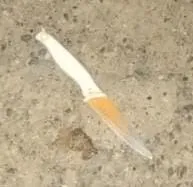 WhatsApp Image 2023-09-27 at 11.23.40