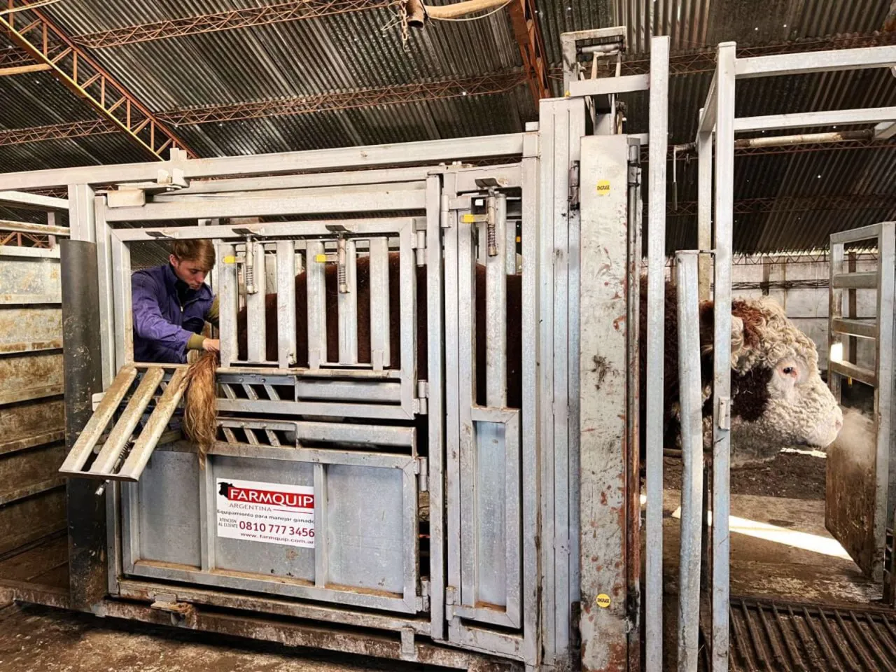 photo_5049032093274844259_y