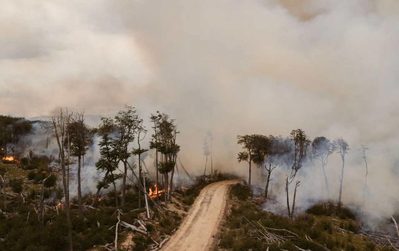 multimedia.normal.98fb814323f4d828.SW5jZW5kaW8gQm9zcXVlX25vcm1hbC53ZWJw