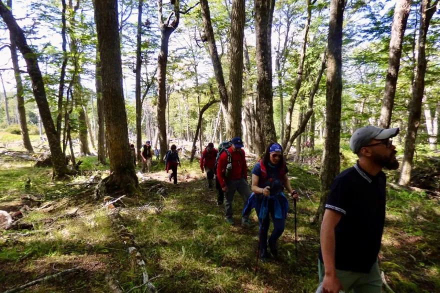 20250129102545_photo_4958494530567515301_y