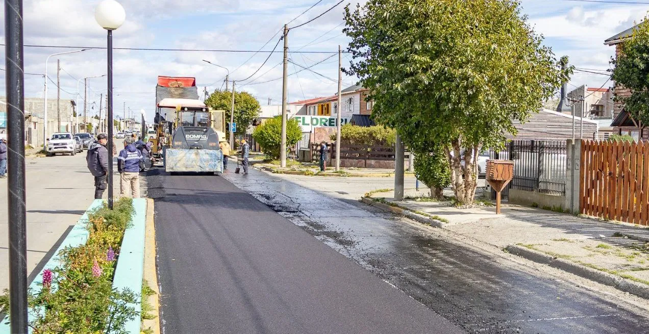 linier obras