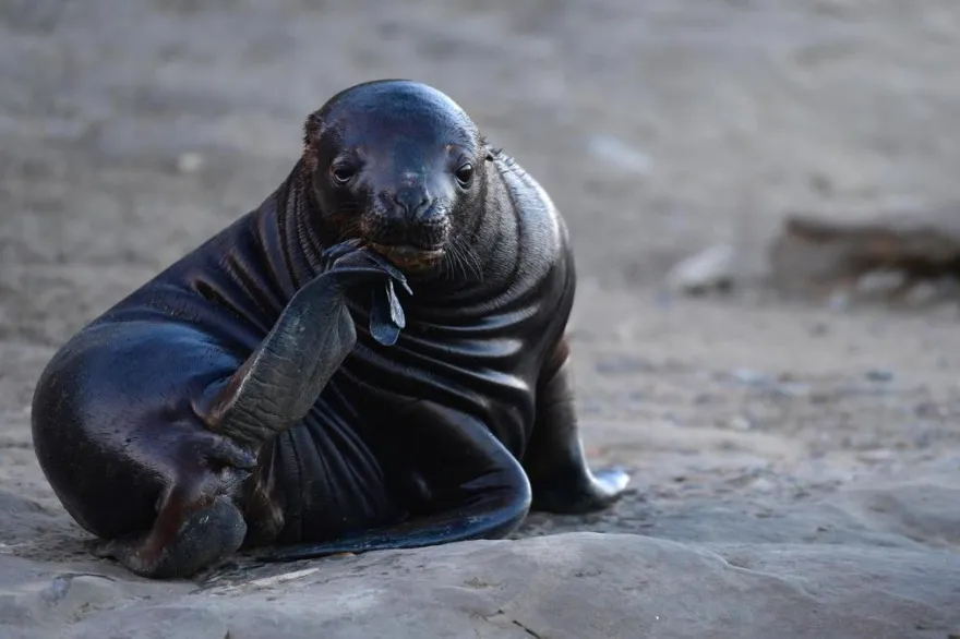 20230901111252_64b5a1ab37bda_1200