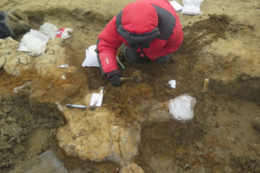 20240404030218_img_2448_copia_web