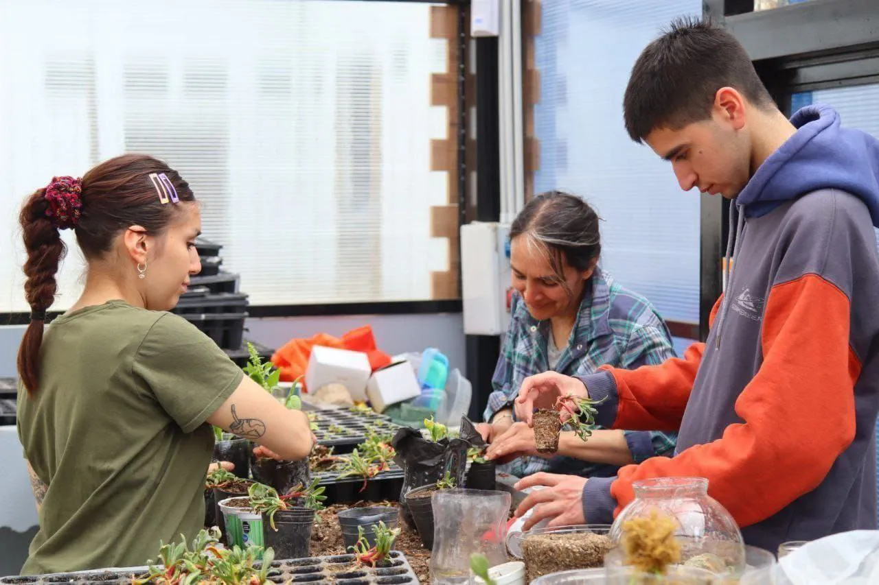 photo_5127791970893278354_y