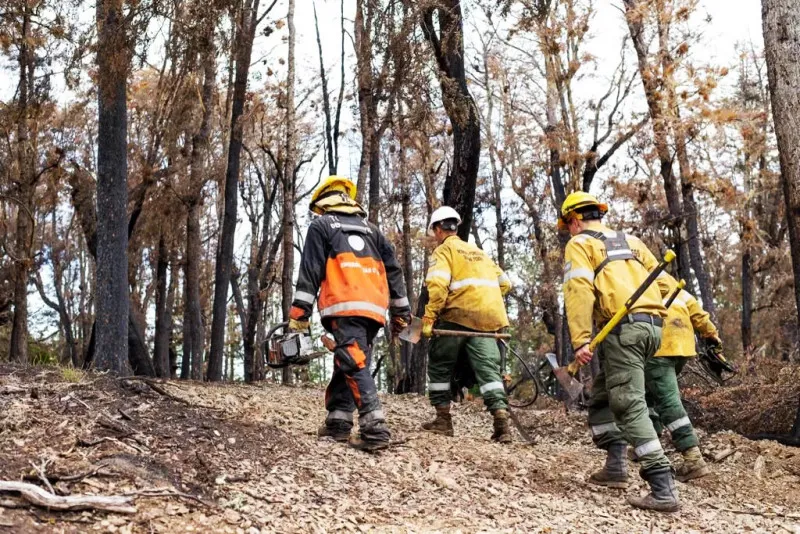 principio-de-incendio-en-una-turbera-de-tolhuin_dBTz