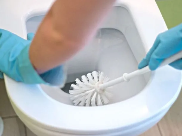 multimedia.normal.b6b97dff9e65641c.aW5vZG9yby1zYXJyb19ub3JtYWwud2VicA==