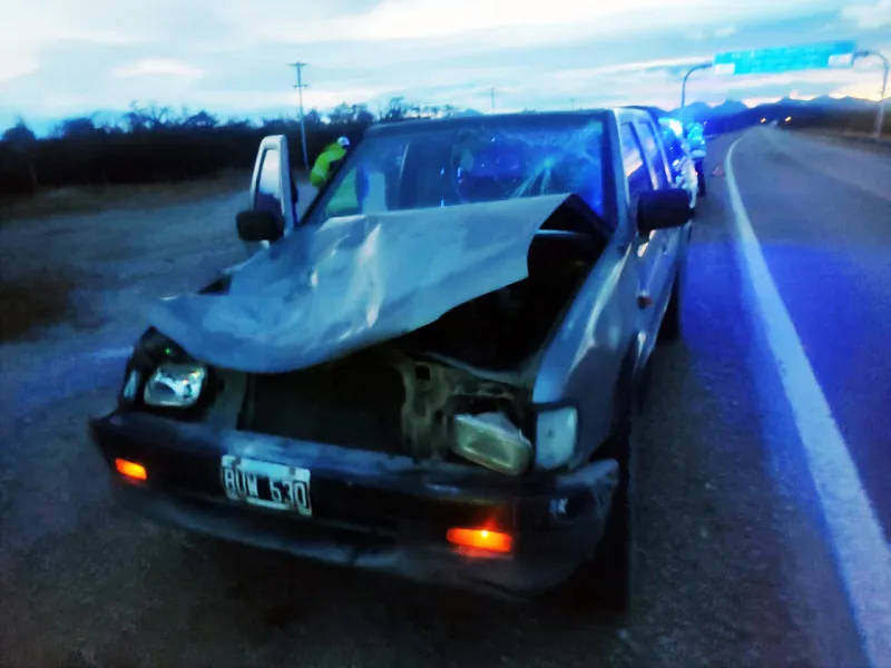 caballo-suelto-provoca-otro-accidente-en-tolhuin_7UWK