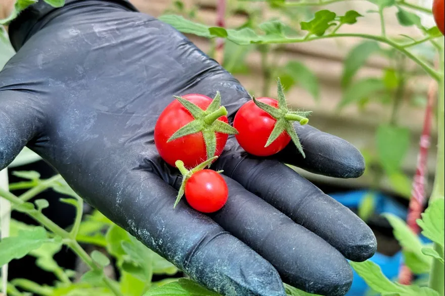 20250131140536_photo_4965764604529585902_w