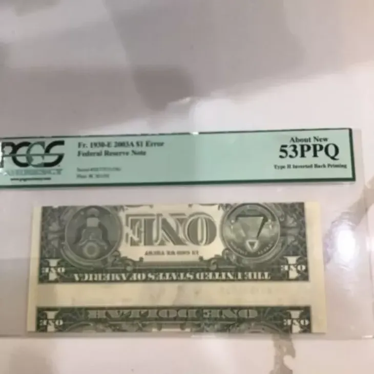 multimedia.normal.acf628508b8c5f9f.ZG9sYXItZG9yc293ZWJwX25vcm1hbC53ZWJw