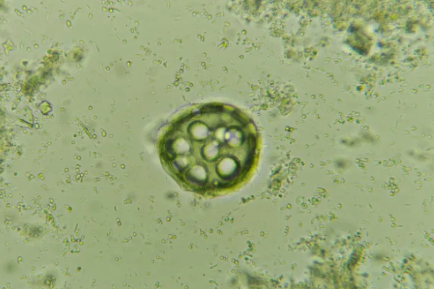 20250821171553_captura_de_pantalla_2025_08_21_171538