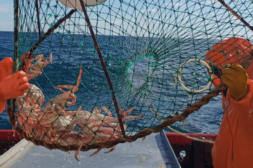 20231020025313_nota_centolla_area_sur