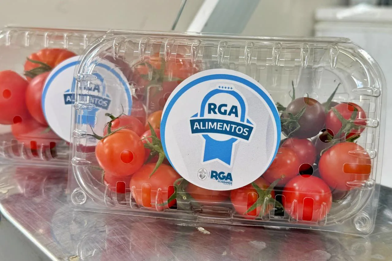 rg alimentos