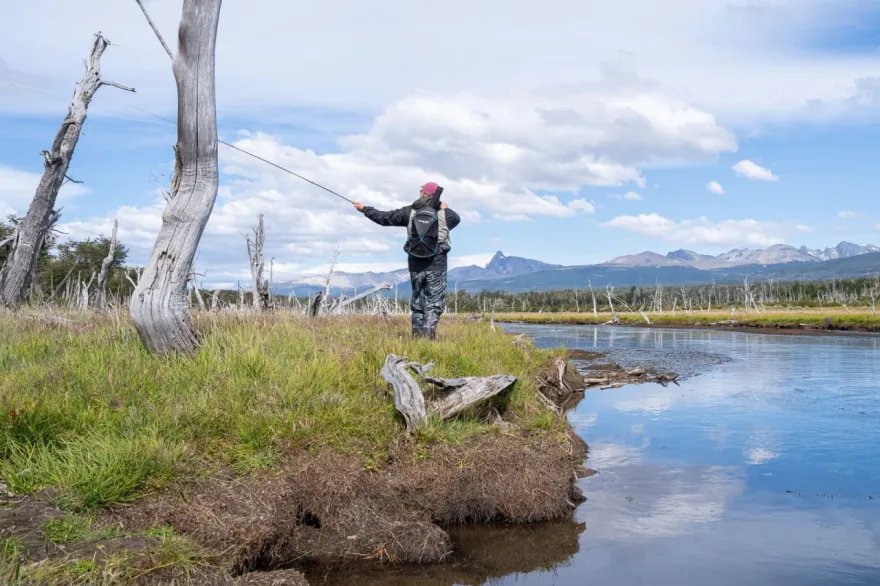 20251030120450_4909359232826673947