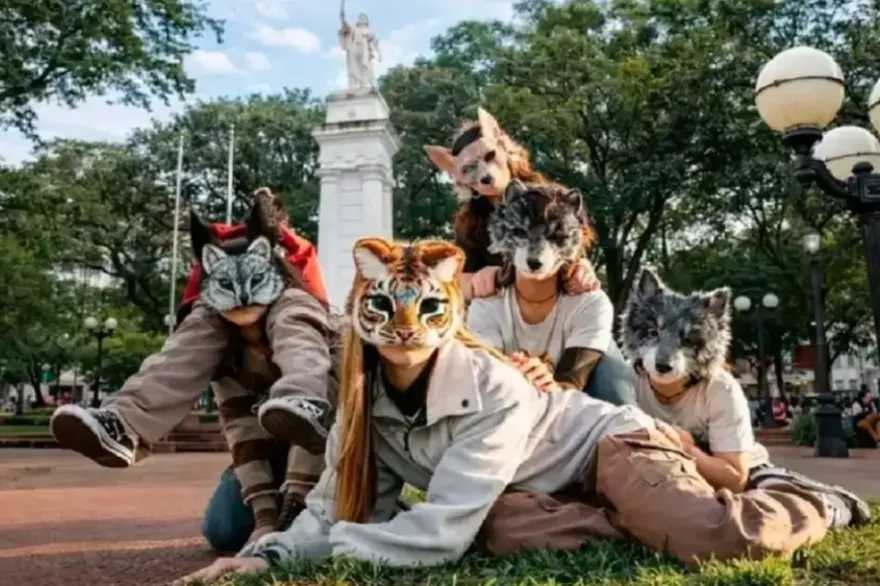 20260209073531_captura_de_pantalla_2026_02_09_073504