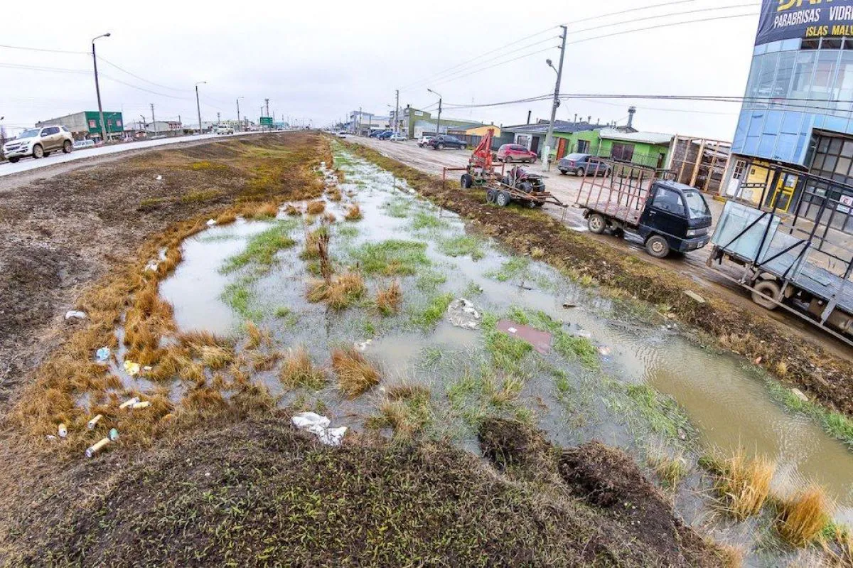 multimedia.normal.8522e755ec5a1602.RXN0dWJhZG8gSXNsYXMgTWFsdmluYXNfbm9ybWFsLndlYnA=