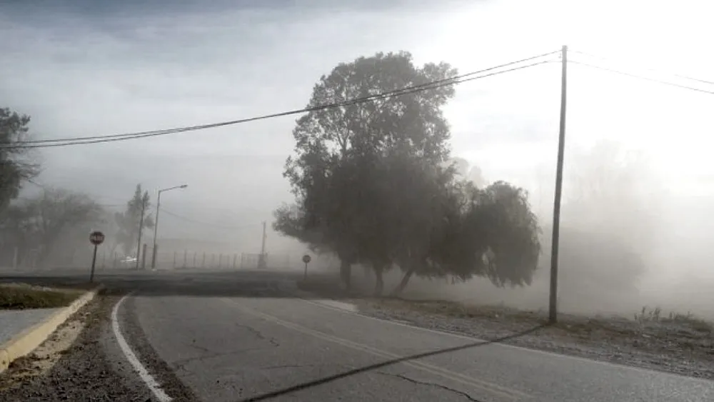 multimedia.normal.b7d4a0f535a7dfc7.QWxlcnRhIFRvcm1lbnRhIGRlIFZpZW50b19ub3JtYWwud2VicA==