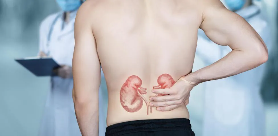 6229b9a3c6fc3.r_d.3320-3101-0