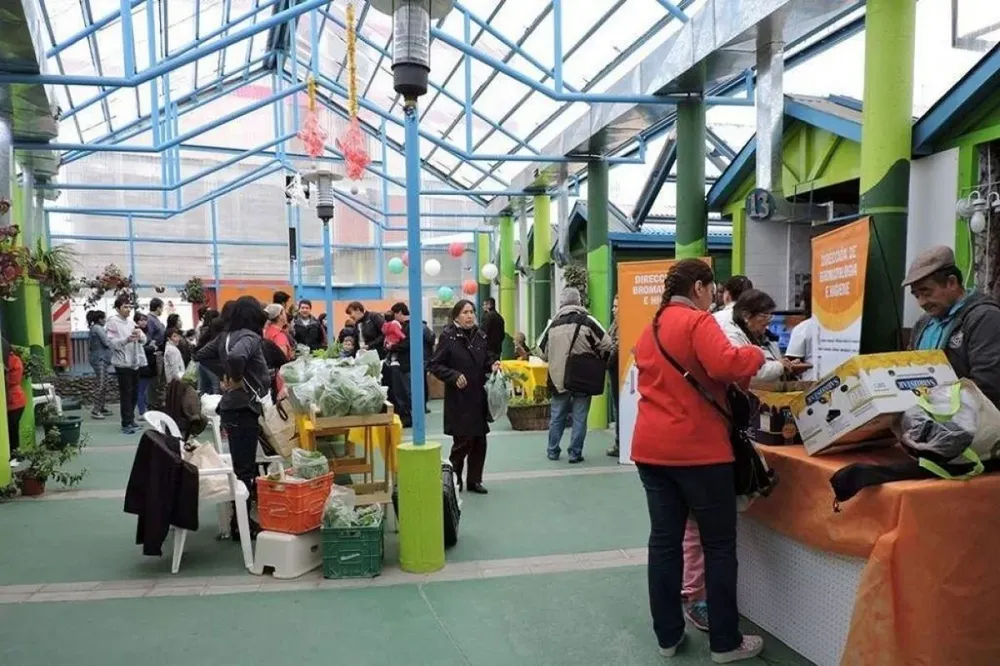 45257-el-paseo-canto-del-viento-se-viste-de-magia