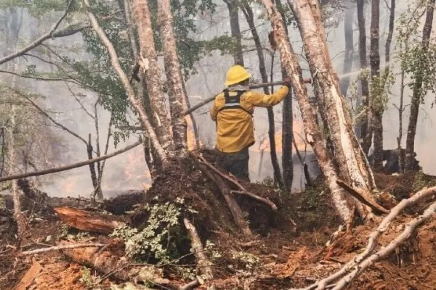 20231124100934_f768x400_253302_297205_5050