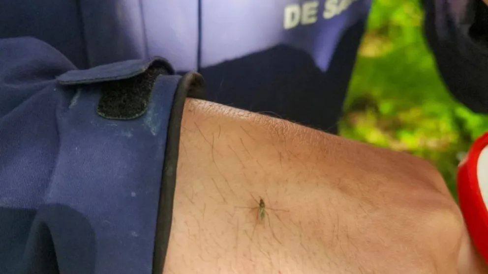 md - 2025-01-16T022122.102