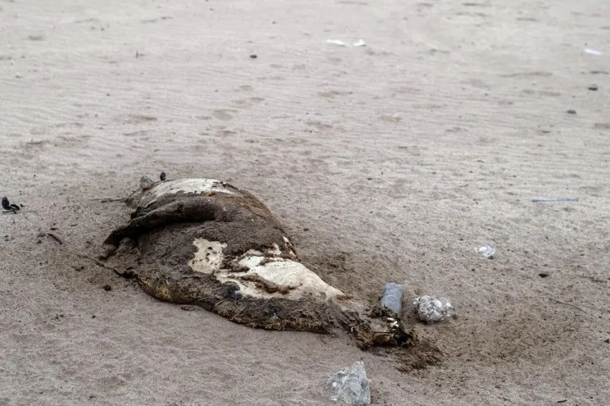 20230902132117_64f34873f21e0_1200_1