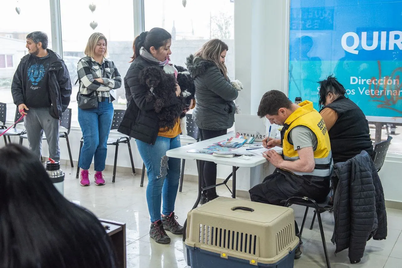 photo_5001347446504275689_y