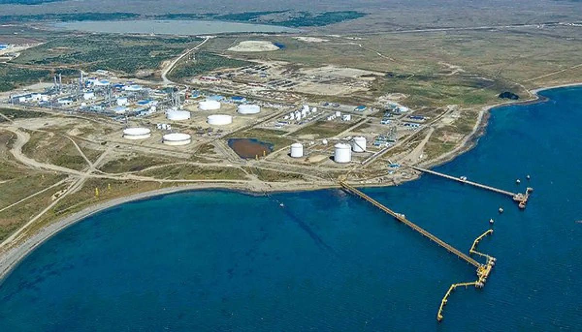 multimedia.normal.baab34ff53d27473.UGV0csOzbGVvIE1hZ2FsbGFuZXMgKDIpX25vcm1hbC53ZWJw