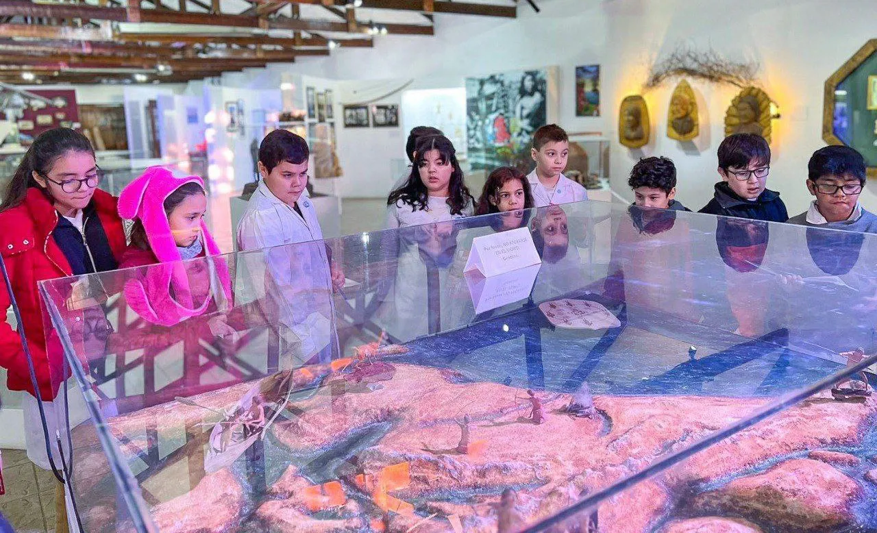 MUSEO