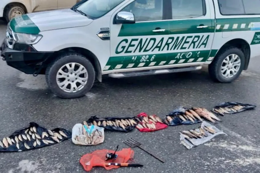 20240416124046_photo_2024_04_16_12_40_06