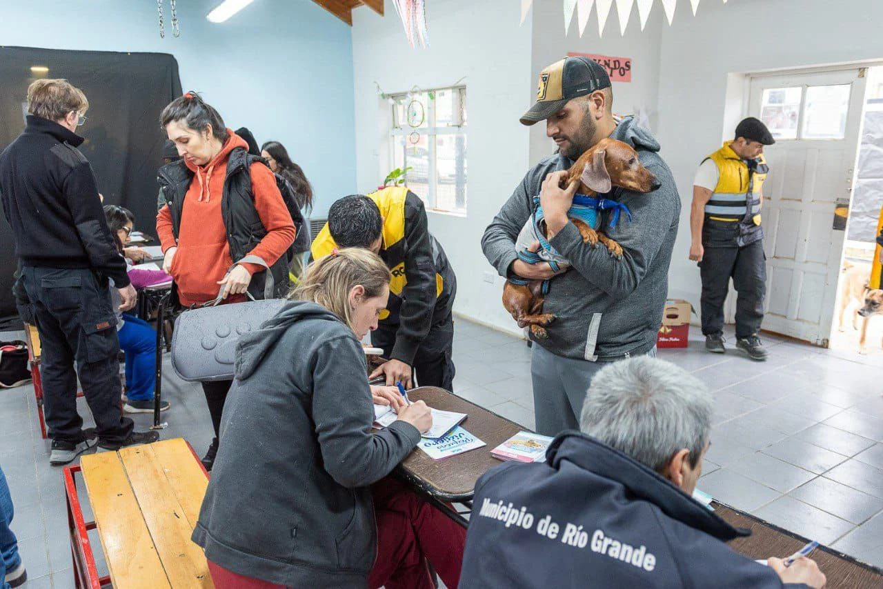 MASCOTAS