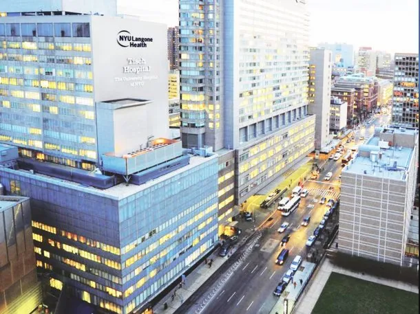 multimedia.normal.8bc4453cc08264e5.aW5zdGl0dXRvLXRyYXNwbGFudGVzLW55dS1sYW5nb25fbm9ybWFsLndlYnA=