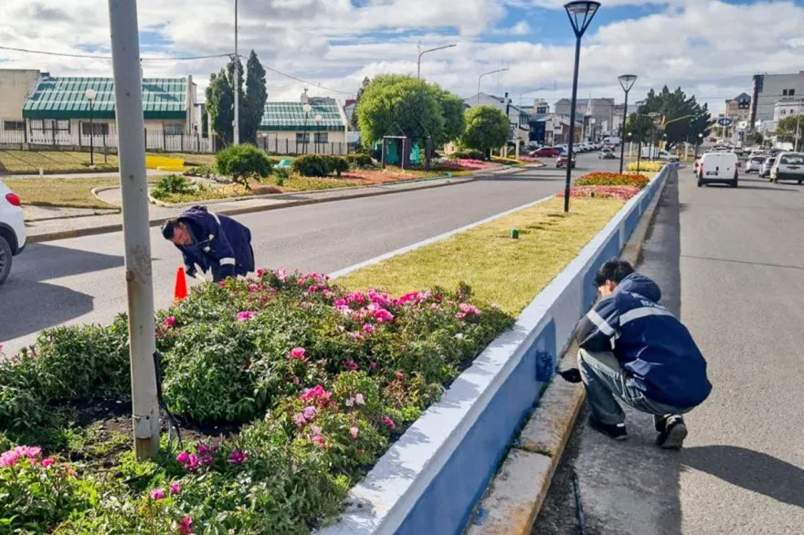 20250228113413_photo_2025_02_28_11_33_46