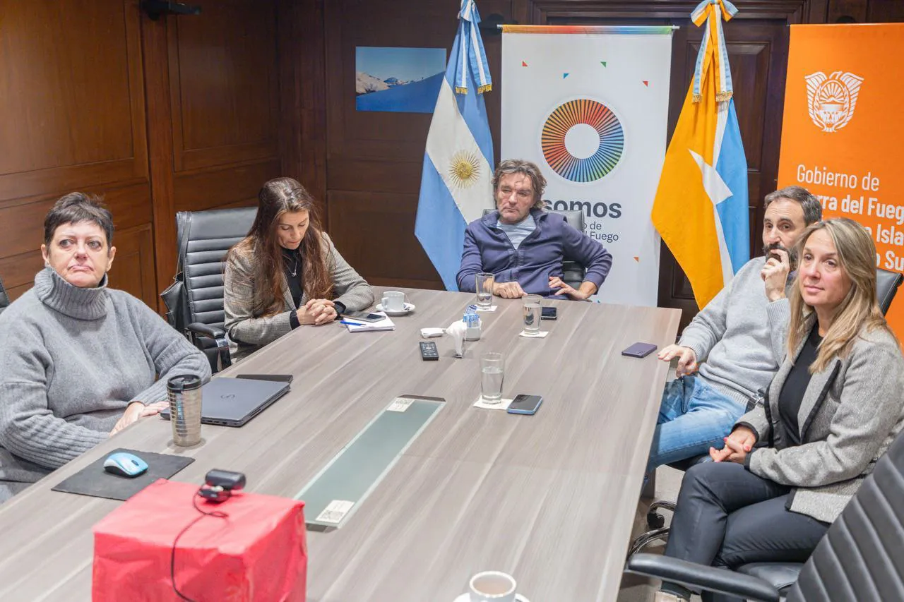 DESARROLLO
