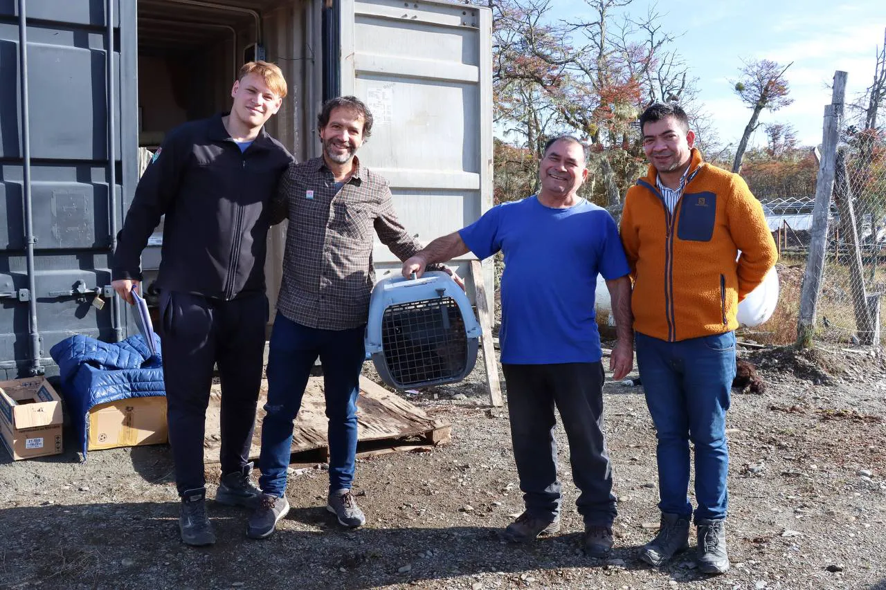 photo_4970001778745650329_y