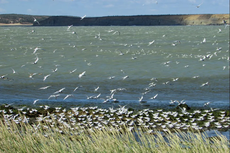 20251002100751_140475769_3144748822291648_2139953548268559951_n