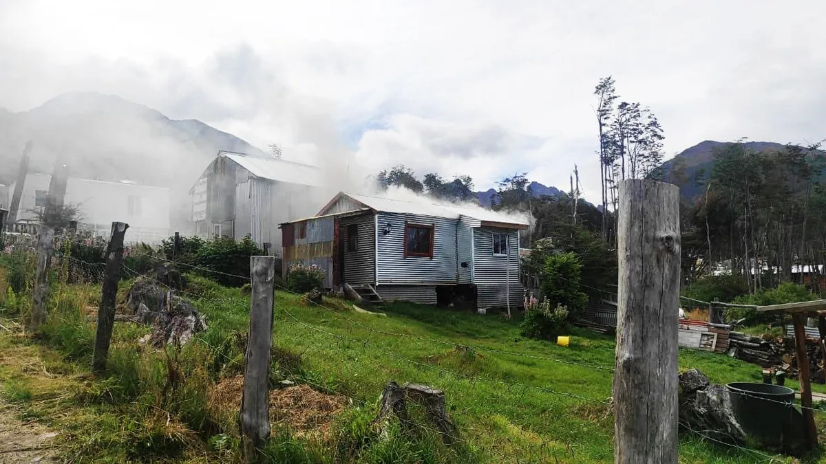 WhatsApp Image 2024-03-01 at 21.42.08