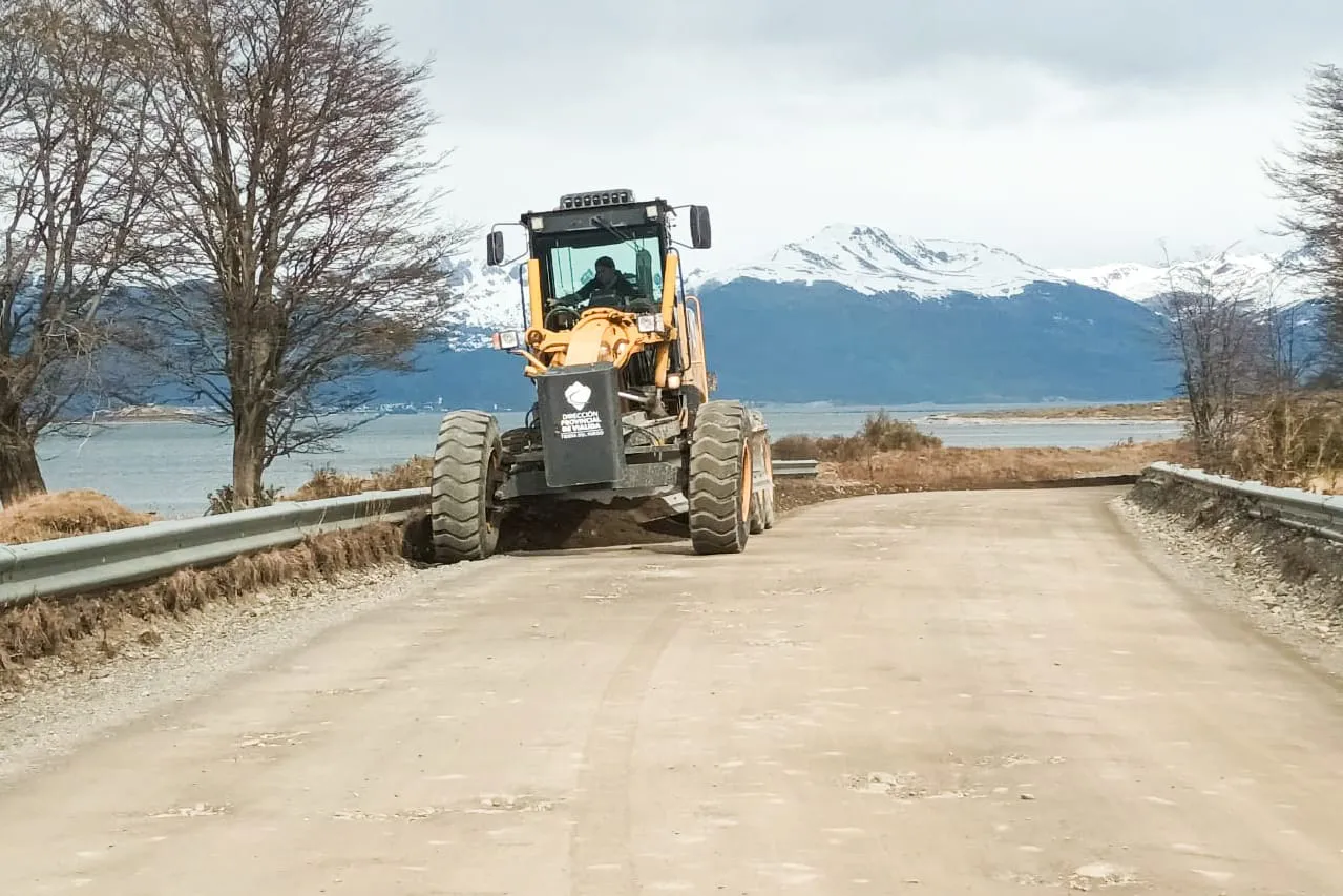 photo_4945457118685801417_y