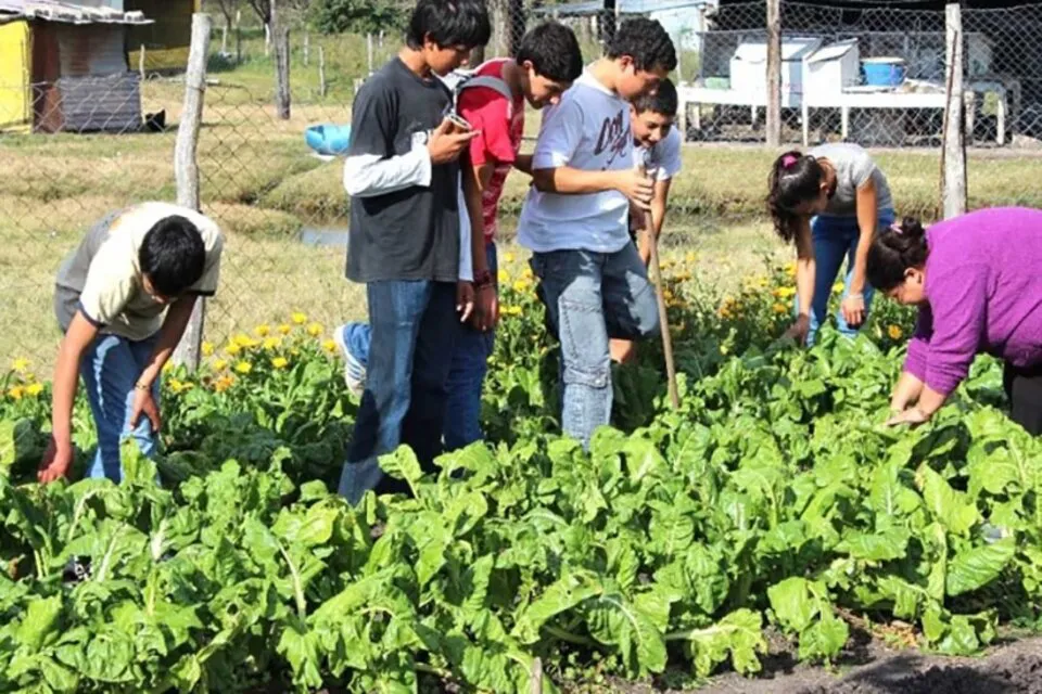 831026-whatsapp-20image-202024-04-12-20at-2021-04-06