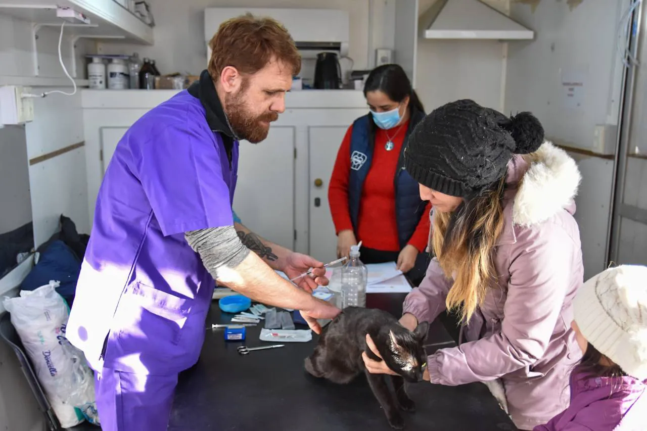 photo_5041787681742367792_y