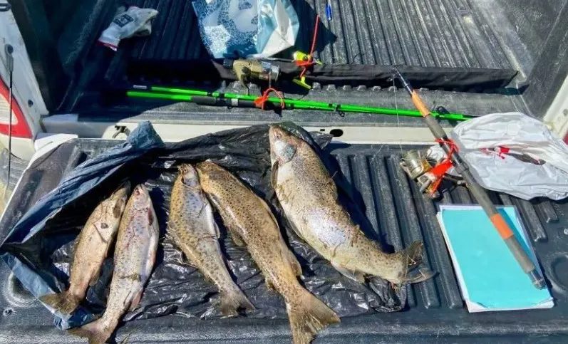 PESCA
