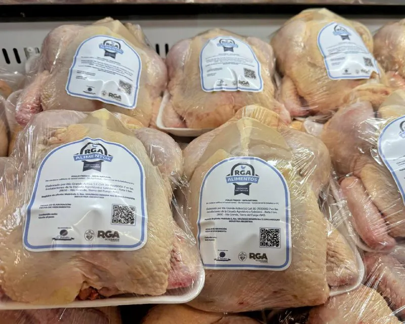 rg alimentos