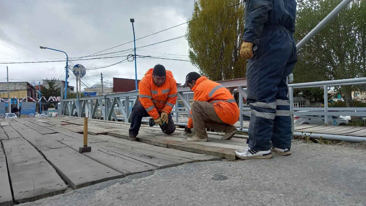 photo_5096063514174401326_y