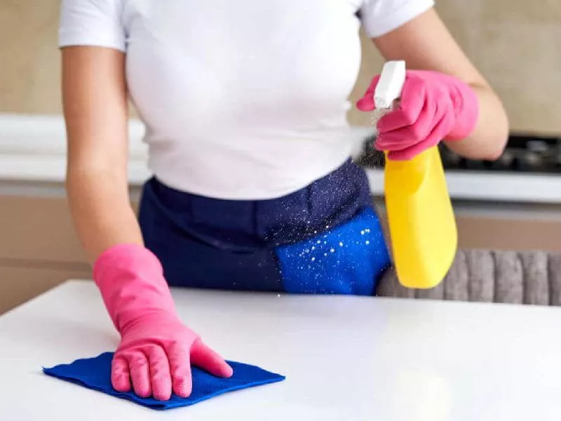 empleadas-domesticas