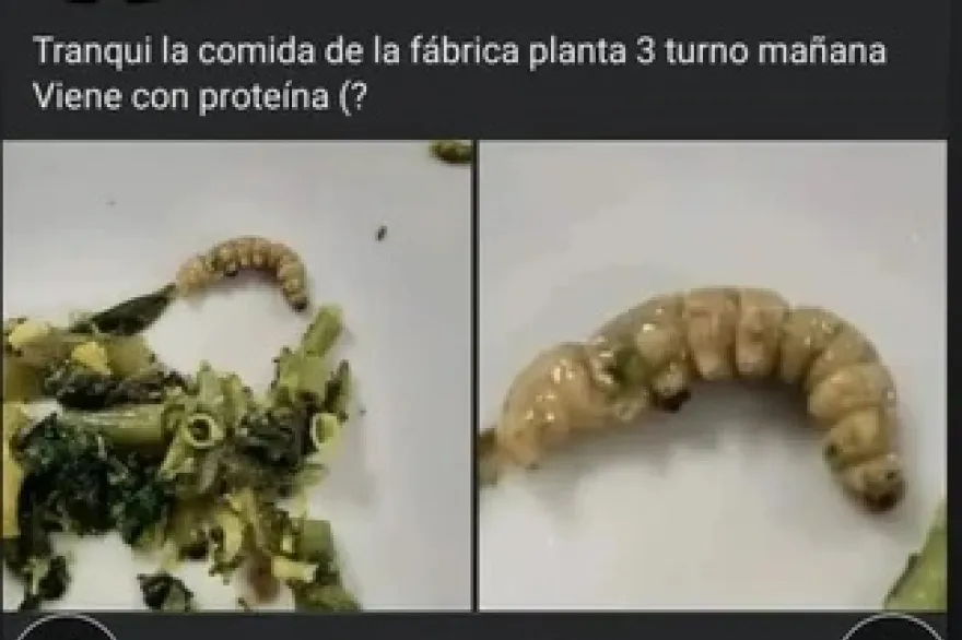 20240321015139_sin_titulo