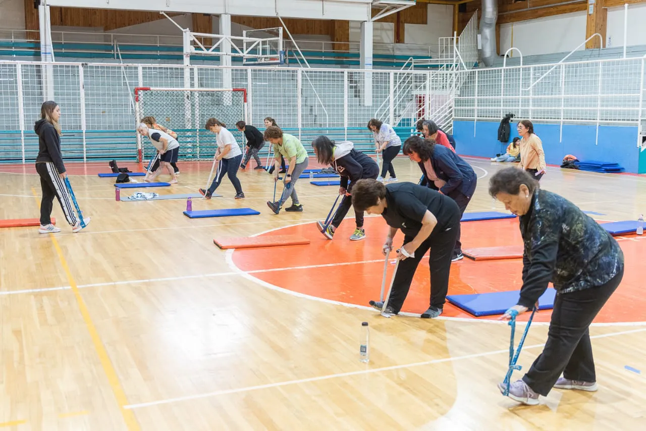 photo_4976652977985138084_y