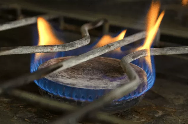 multimedia.normal.8f41a34ebfbf93e0.4d6f6e6f7869646f5f6e6f726d616c2e77656270