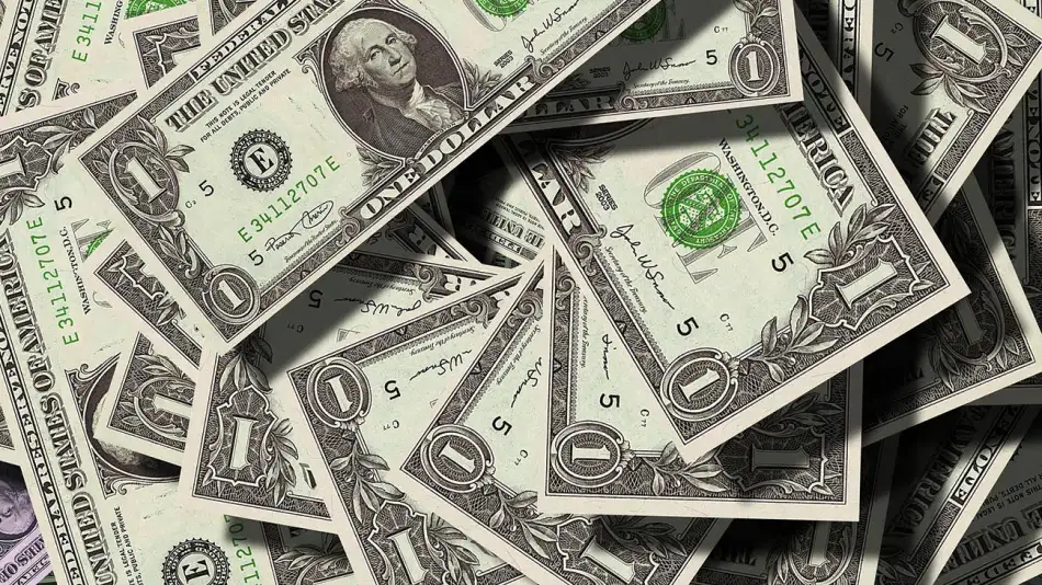 multimedia.normal.815c65996f1638aa.446f6c617220325f6e6f726d616c2e77656270